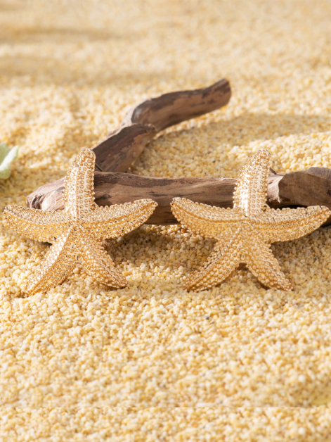 Sand Star Earrings